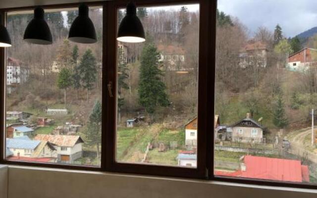 Sinaia view