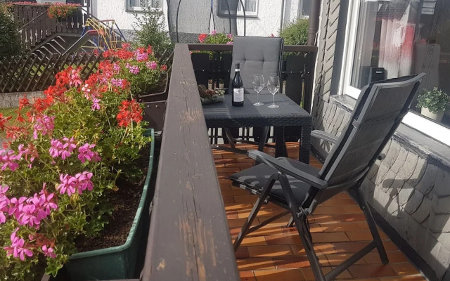 Flat in Medebach Near the ski Area