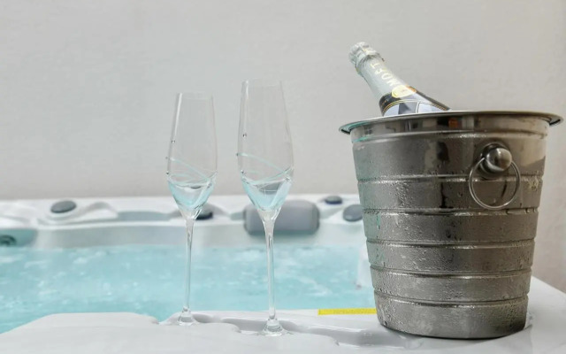 Luxury Apartment Knezovic