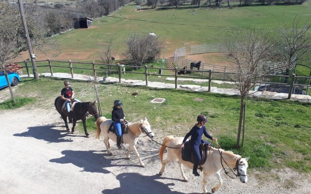 Gite de Gazelle Chambres d'Hote