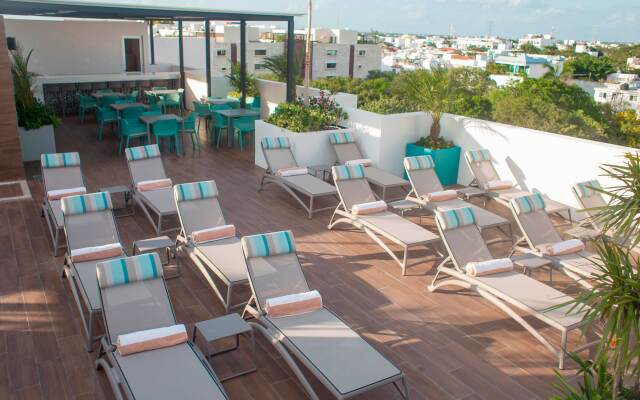 Sercotel The Gallery By KLR