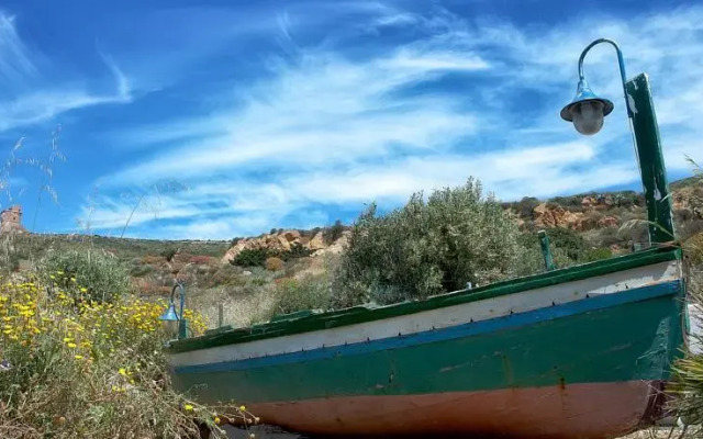 montanabay