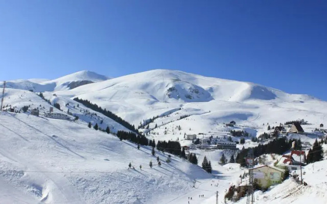 Snow Patrol Lodge