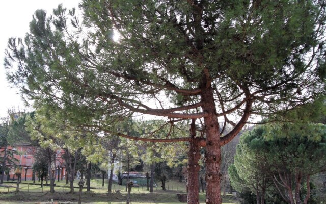 Apparamento Al Valico della Foce