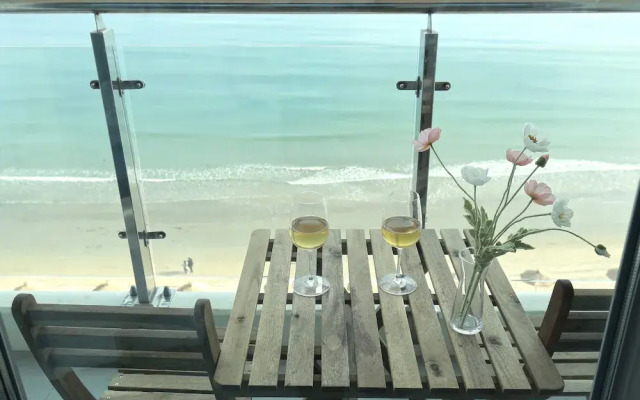 SoTA Collection The Terrace
