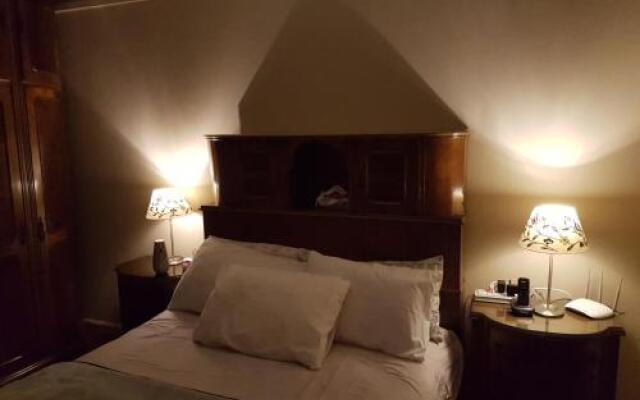 Cozy modern apartment