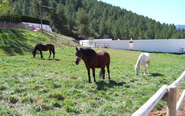 Hospedium Hotel Val de Pinares