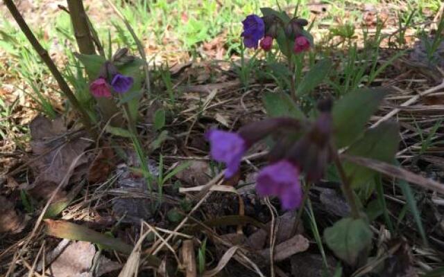 Загородный отель «Усадьба Малеевка»