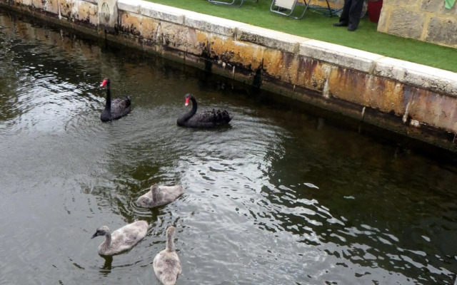 Yunderup Kannie Kottage