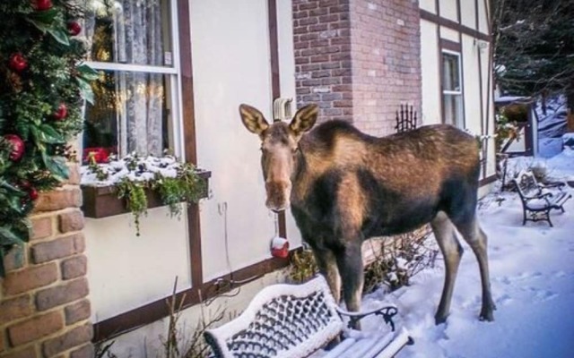 Highland Glen Lodge B&B