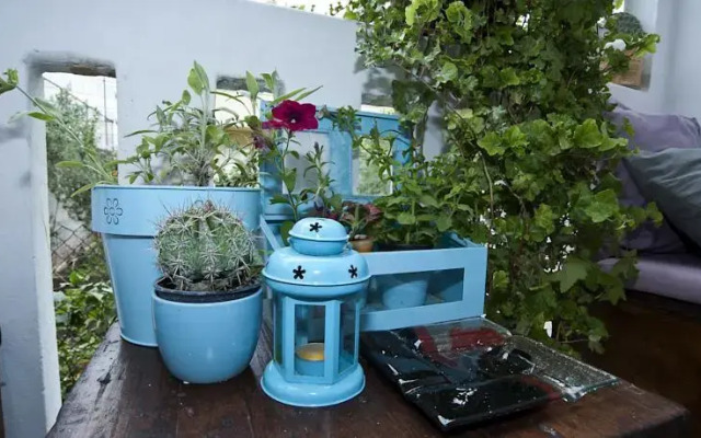 Apartment BonBon