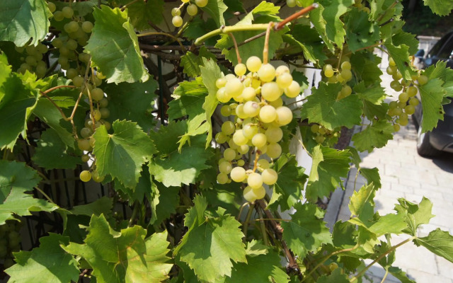 Passau "Am Sulzsteg" 9