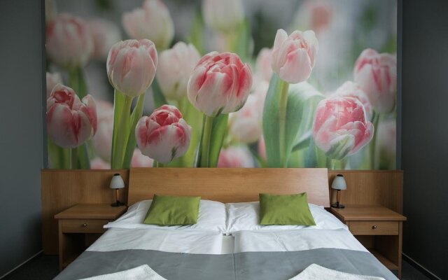 Hotel Imos