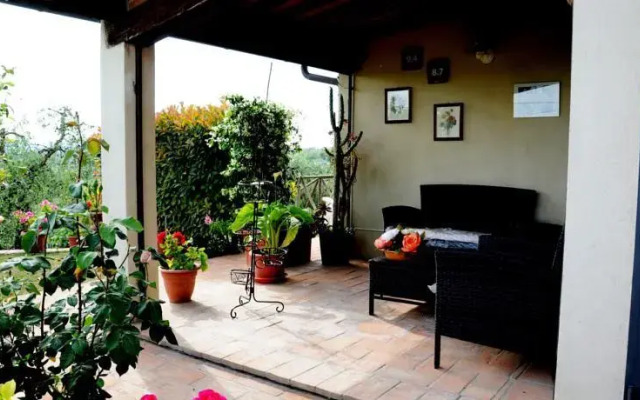 Picchio della Tinaia