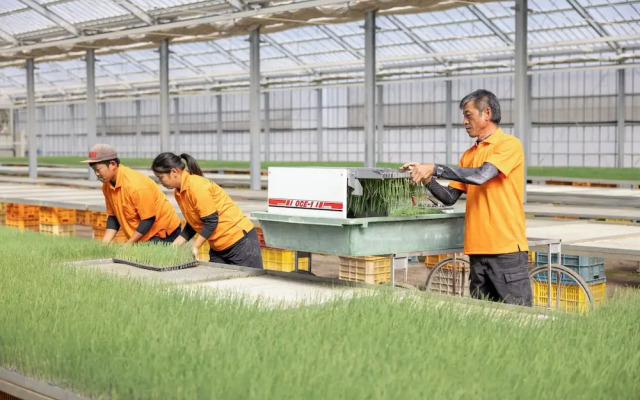 Hotel Taiyo Noen Nibancho