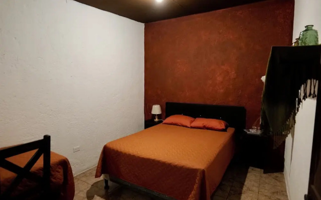 Wonderland Hostel