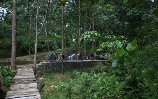 Monsoon Adventure Park