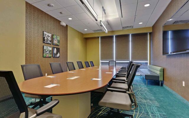 SpringHill Suites by Marriott Baton Rouge Gonzales