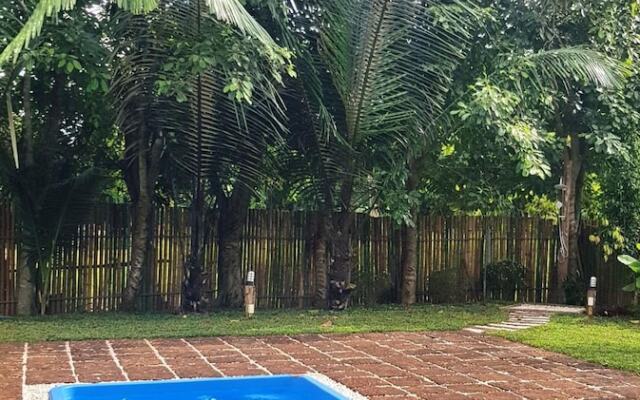 Chiang Dao Reset