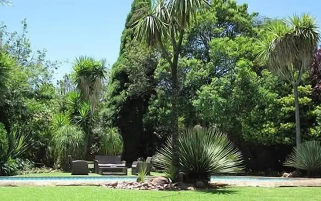 The Pecan Tree