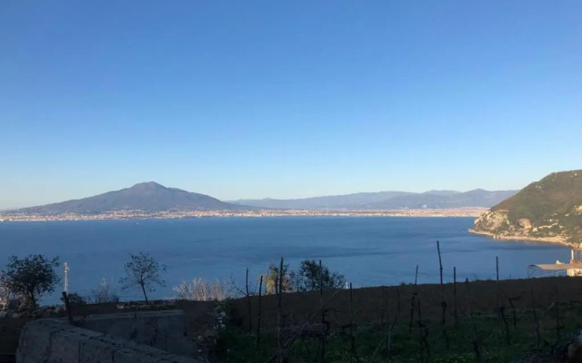 Antica Tenuta Celotto