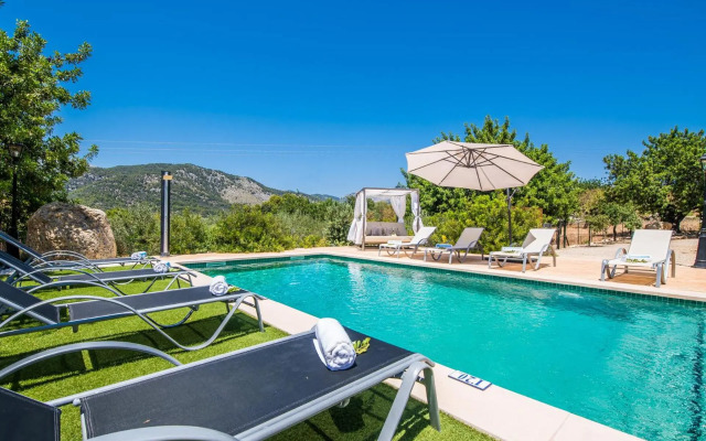 Puig d'en Guardiola ID:74768