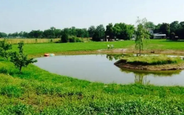 Bed and Breakfast Radijsje