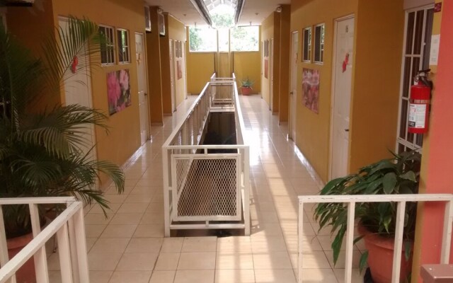 Hotel Shagul