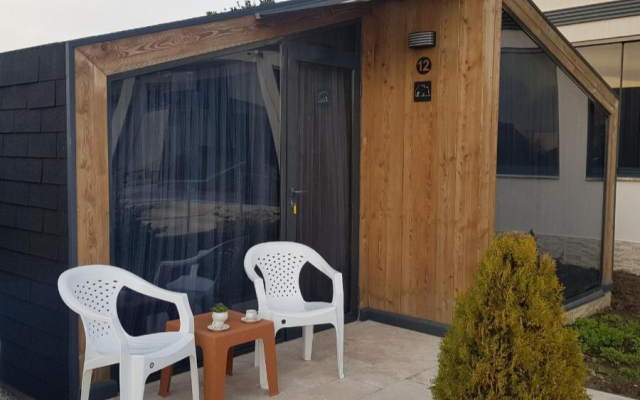 Черный слон Каштак (Сухум)