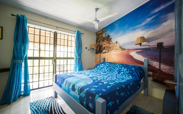 The Leatherback Lodge