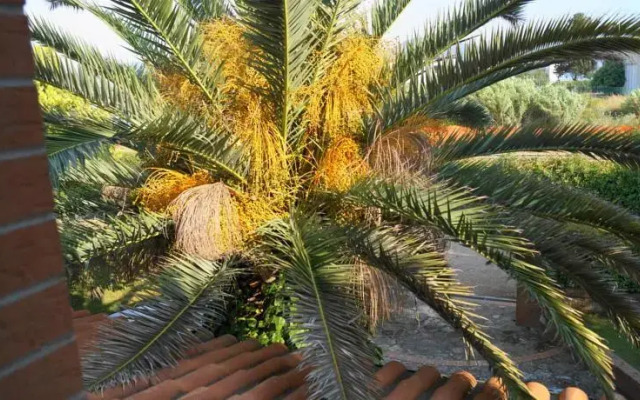Agriturismo Villa Isa
