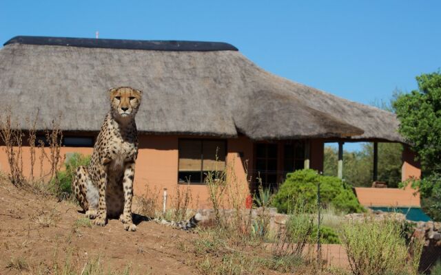 Babson House @ Cheetah Conservation Fund