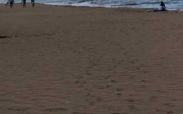 Holiday Beach