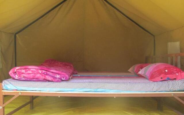 Camping Huts At Lord Shiva Camps