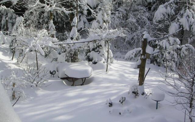 Ferienwohnung im Harz Haus Bruns