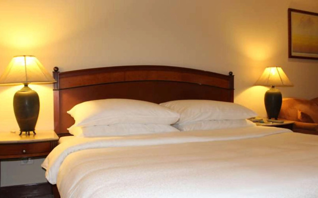The Hans Hotel New Delhi
