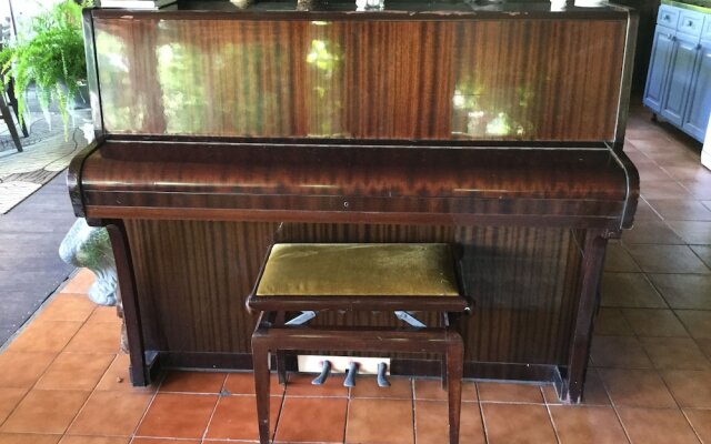 Racoon Lodge