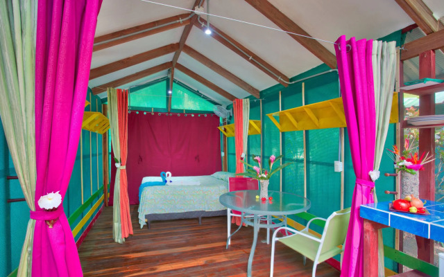 Jungle's Edge: Jiu-Jitsu, Muay Thai & Yoga Retreats