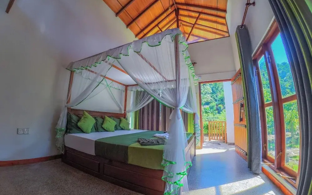 Rain Forest Vibe Sinharaja