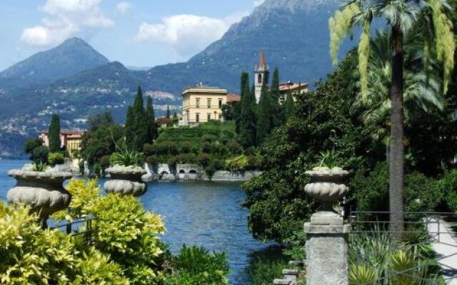 Riva Bellano Camelia