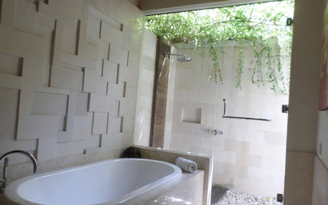The Akasha Bali