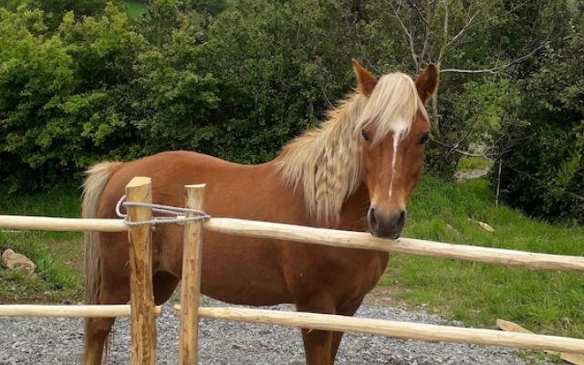 Terre et Eau B&B La Flocellière