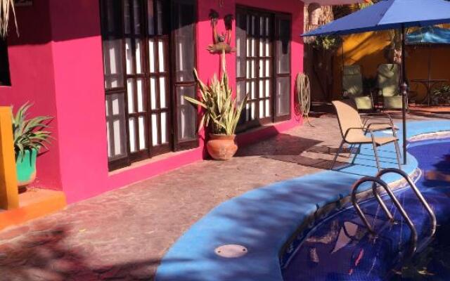 Leo's Baja Oasis