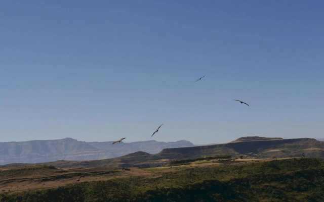 Sora Lodge Lalibela