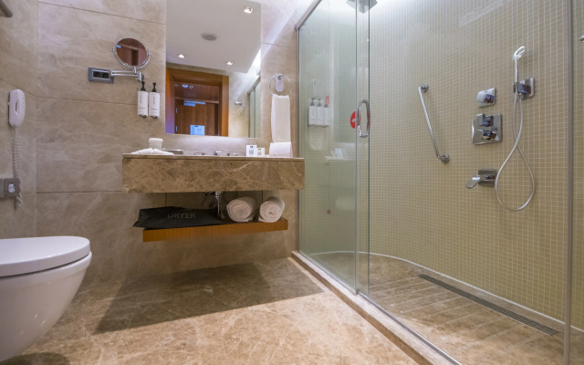 Crowne Plaza Kayseri by IHG