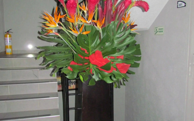 Hotel Business Ferial