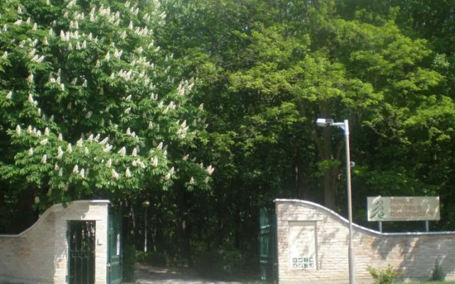 Pálmajor Pihenöpark és Rendezvényközpont