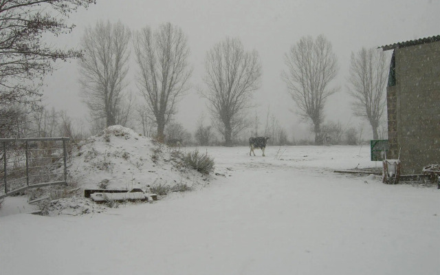 Mas d'Aravó
