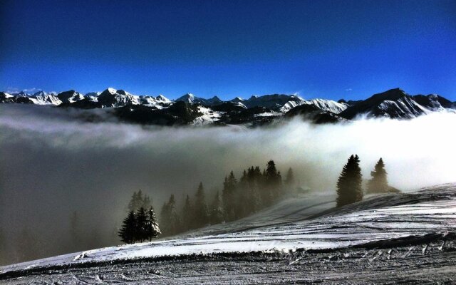 Family B&B Le Vieux Chalet