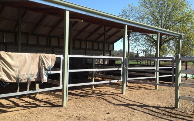 Riverglen Cottage B&B